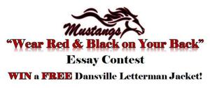 Essay